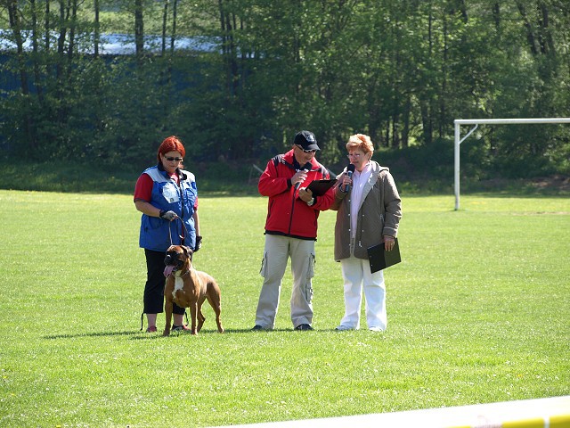 www.atibox.net * www.euroboxer.eu * www.boxergenealogia.eu